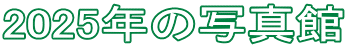 2025年の写真館